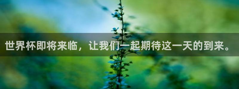 世界杯比赛:世界杯即将来临,让我们一起期待这一天的到来。