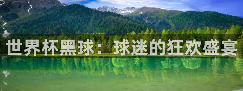 2026世界杯:世界杯黑球:球迷的狂欢盛宴