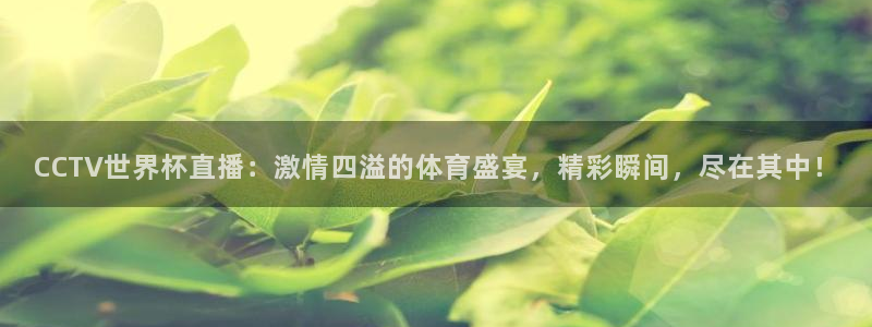 欧洲世界杯预选赛赛程:CCTV世界杯直播:激情四溢的体育盛宴,精彩瞬间,尽在其中!