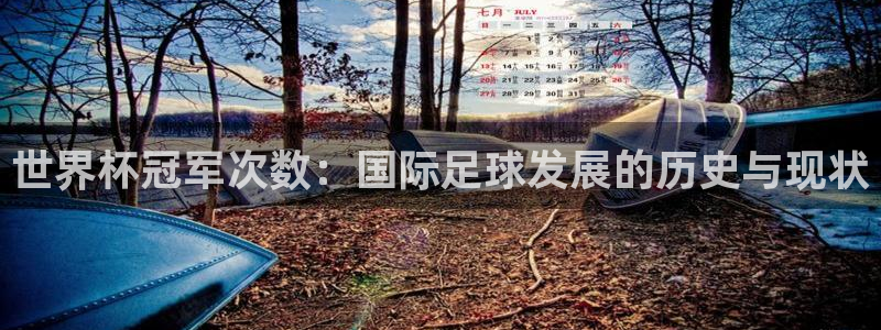 世界杯亚洲区预选赛积分榜:世界杯冠军次数:国际足球发展的历史与现状
