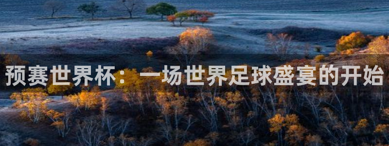 2026世预赛赛程:预赛世界杯:一场世界足球盛宴的开始