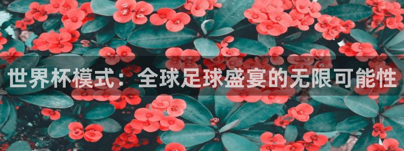 2026世界杯亚洲区预选赛:世界杯模式:全球足球盛宴的无限可能性