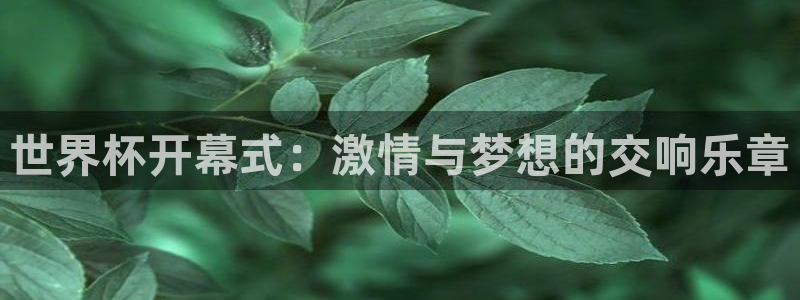 2026年世界杯时间表:世界杯开幕式:激情与梦想的交响乐章